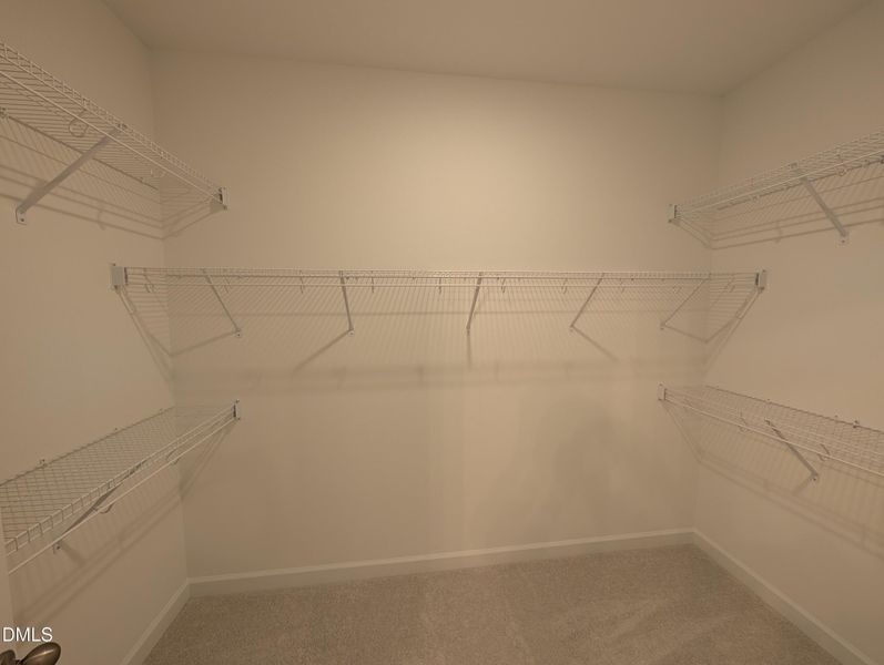 PXL_20260421_224858384.MP