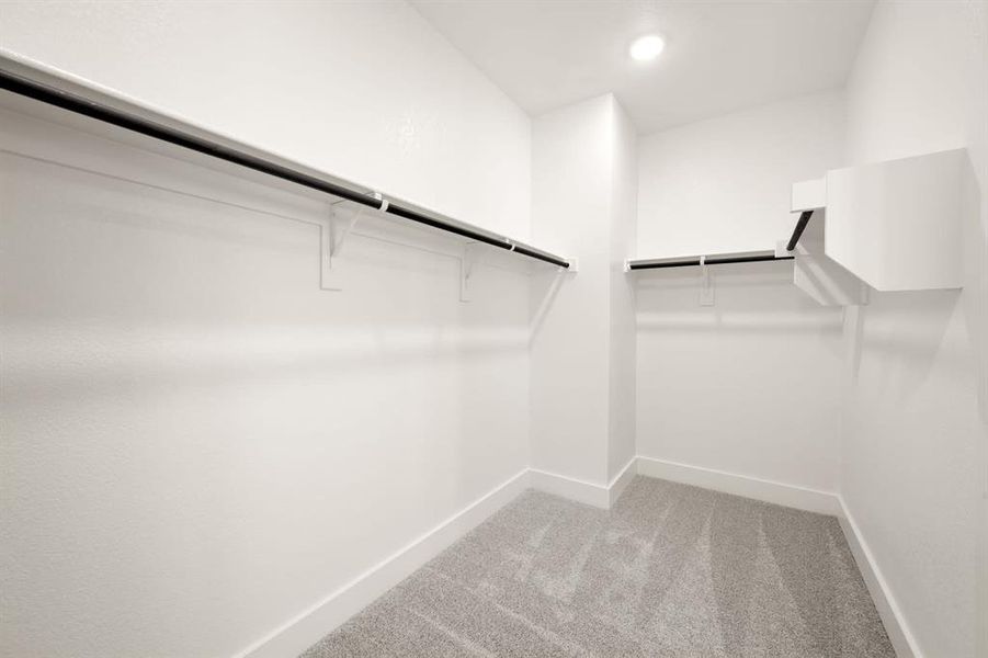 Discovery Collection at Bridgewater