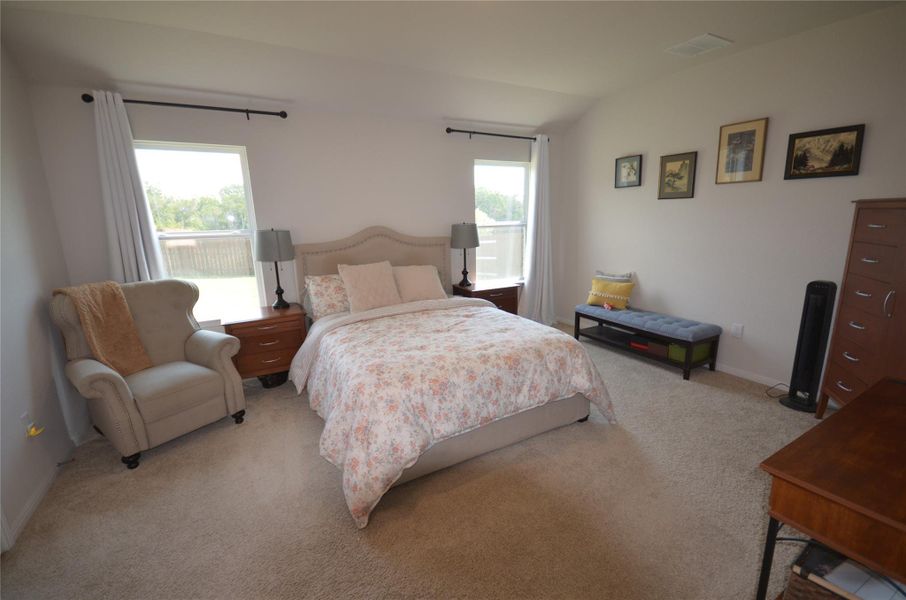 Bedroom with multiple windows, light carpet, and lofted ceiling Bedroom with multiple windows, light carpet, and lofted ceiling