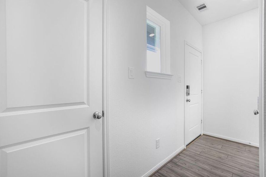 26814 Celestial Cypress ~ Ready Now