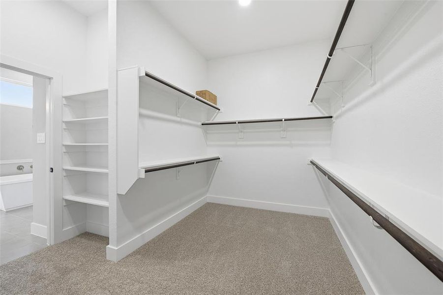 Spacious closet featuring light carpet Spacious closet featuring light carpet