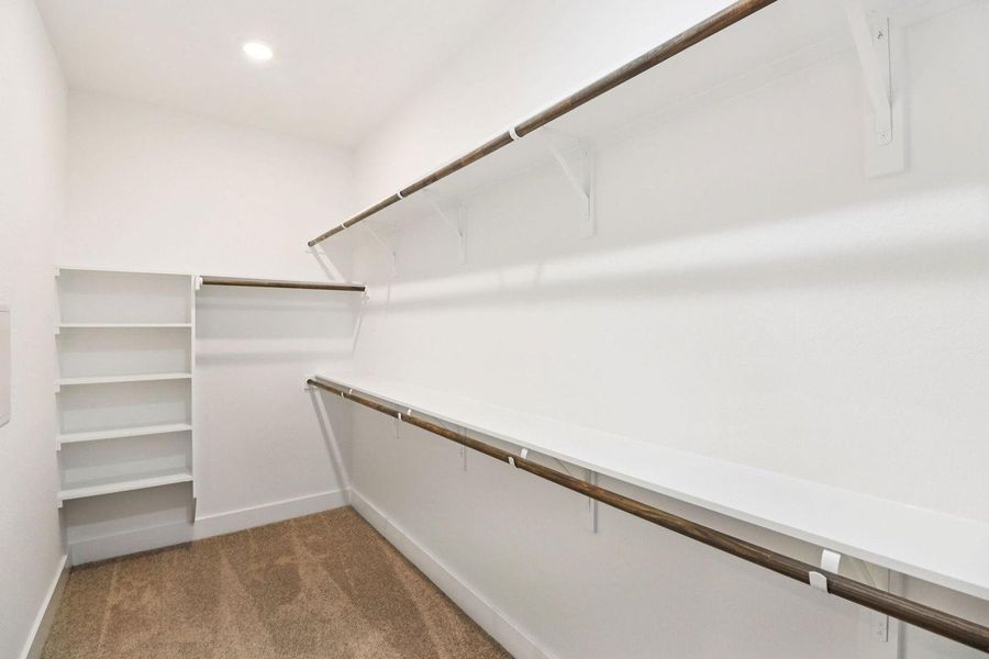 22303 Prickly Primary Walk-In-Closet 22303 Prickly Primary Walk-In-Closet