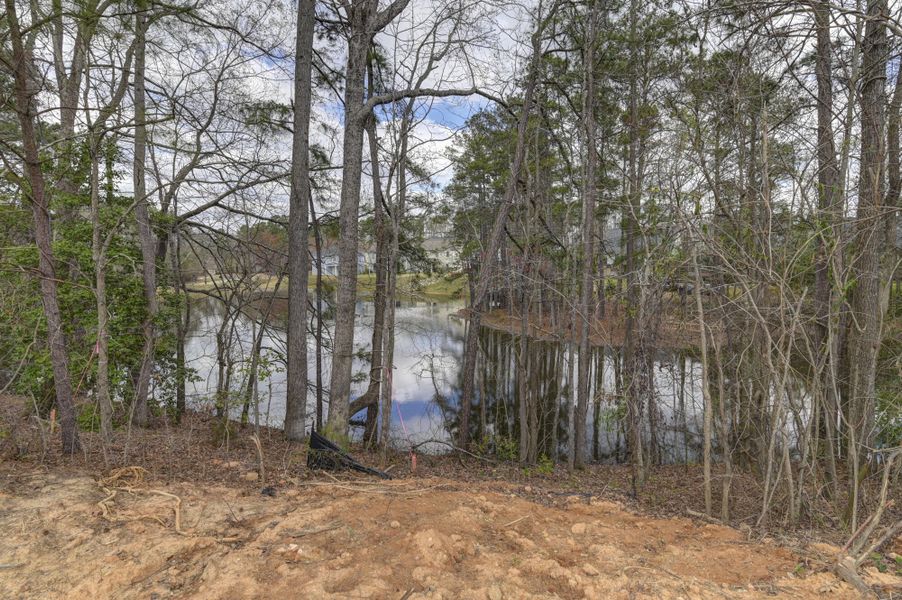 Natural landscape and outdoor views near Clubside Reserve at Summerlake in Lexington (Image 50).