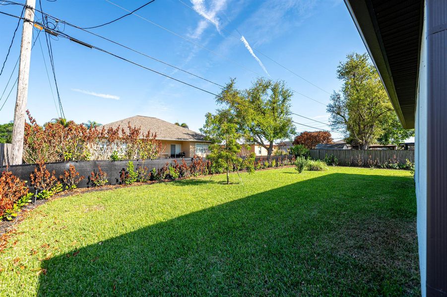 Back Yard