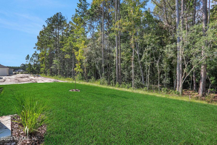 Natural landscape and outdoor views near Bellbrooke in Jacksonville (Image 44). Natural landscape and outdoor views near Bellbrooke in Jacksonville (Image 44).