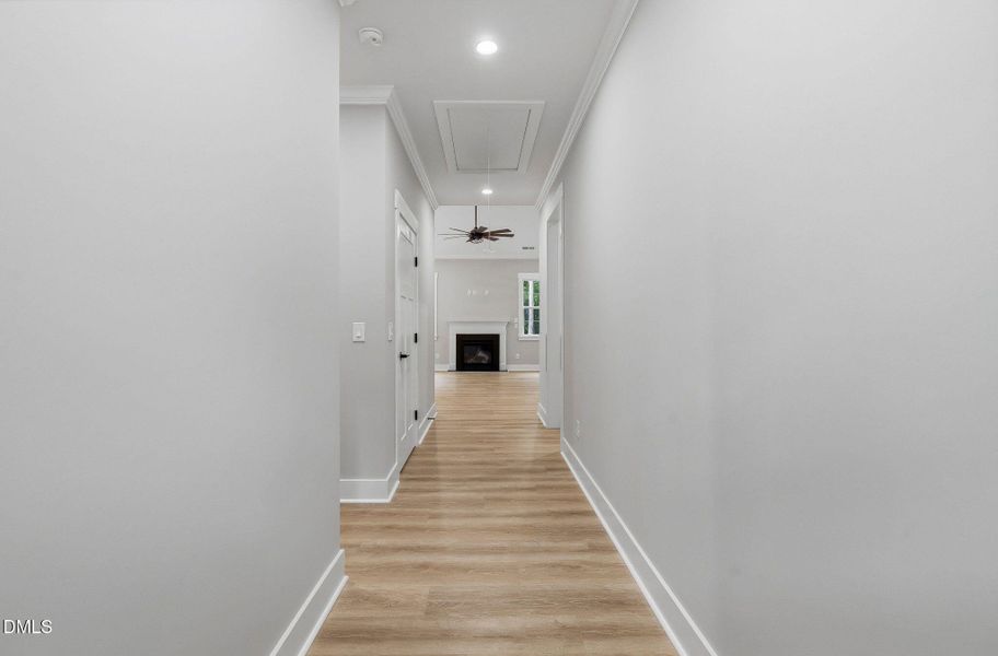 15-web-or-mls-DSC01577 15-web-or-mls-DSC01577