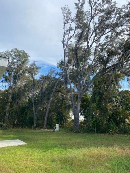 Natural landscape and outdoor views near  in Ocklawaha (Image 44).
