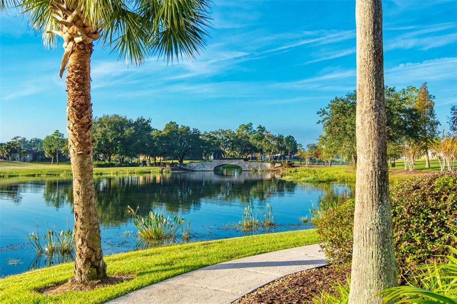 Natural landscape and outdoor views near  in Poinciana (Image 33).