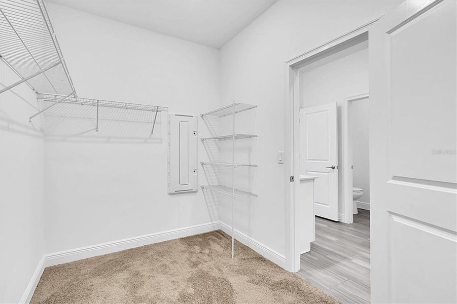 Primary Closet