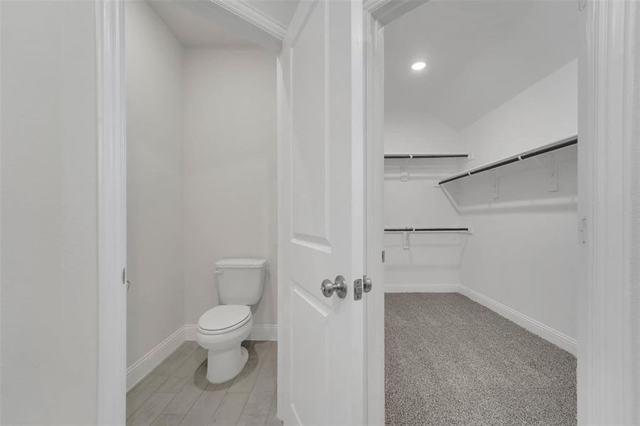 Bathroom featuring a spacious closet, toilet, and baseboards