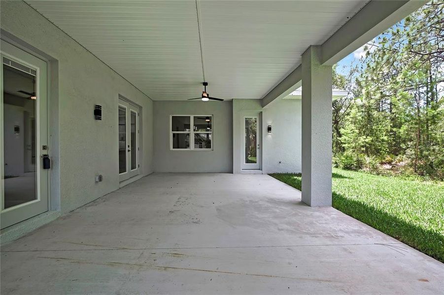 8 Hibiscus 8 Hibiscus