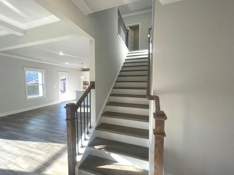 Spacious, unfurnished interior of a new home in Ponderosa Farms Estates, Gainesville (Image 35).