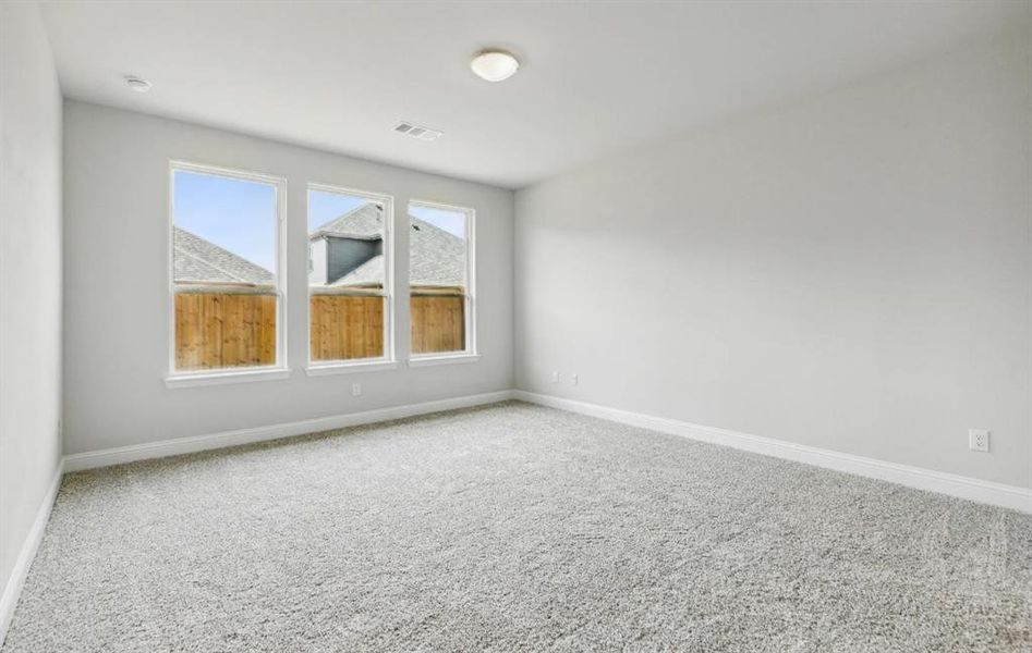 Empty room featuring visible vents, carpet, and baseboards