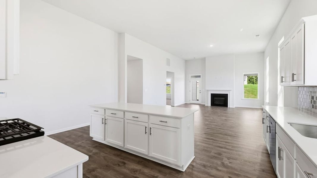 Furnished interior view inside a new home in Blue Ridge Trail, Fountain Inn (Image 7).