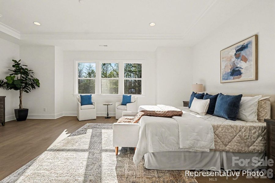 Furnished interior view inside a new home in Shepherds Trace, Clover (Image 19).