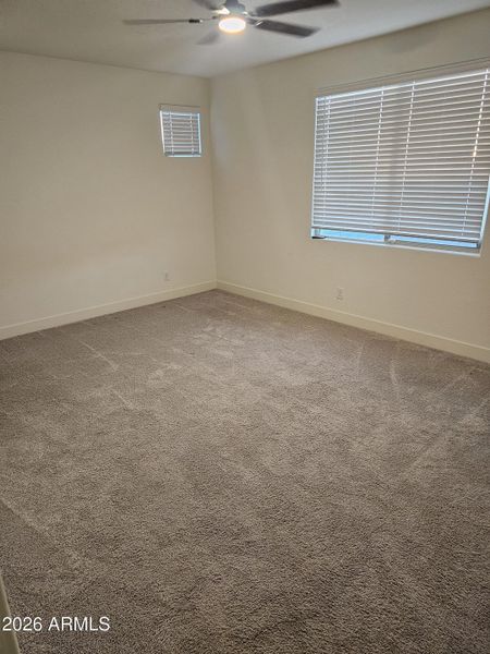 20260129_175133_resized 20260129_175133_resized