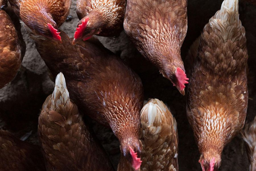 Image 55 of a home in .