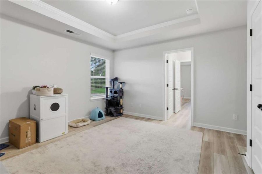 Spacious, unfurnished interior of a new home in Trinity Park, McDonough (Image 73).