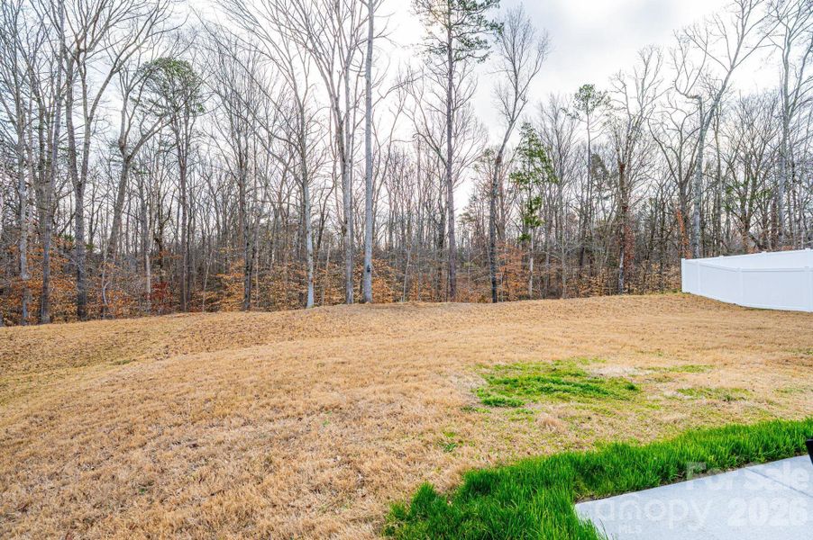 Natural landscape and outdoor views near Azalea Ridge in Mount Holly (Image 43).