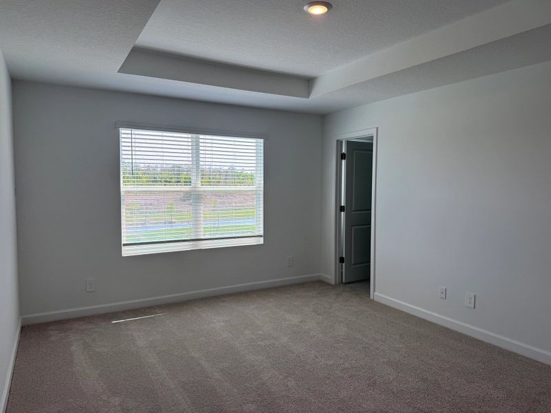 Peaceful primary suite features a tray ceiling and expansive windows