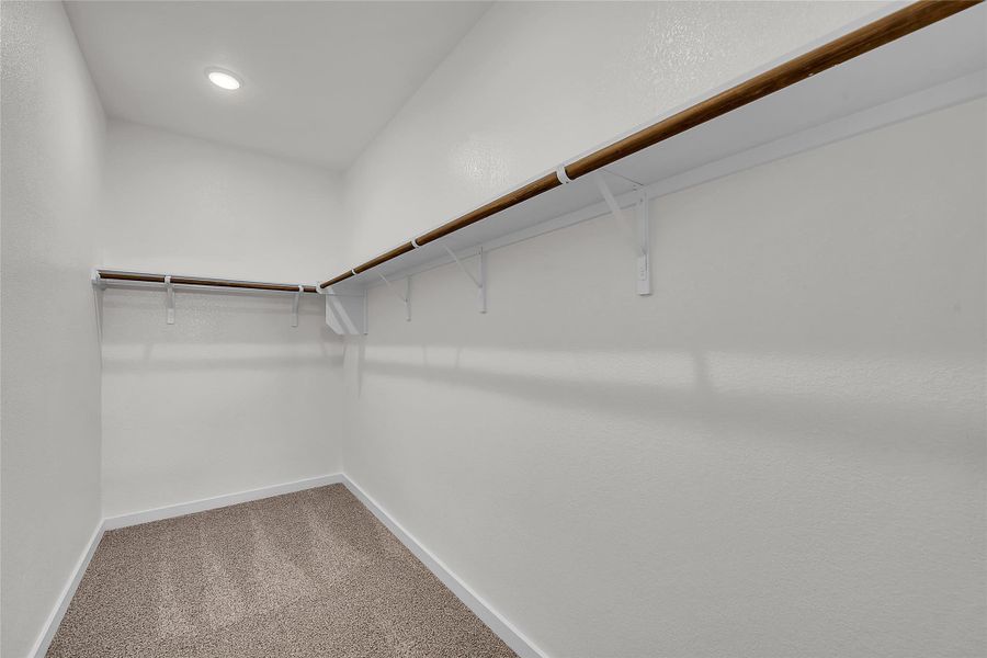 Spacious closet featuring light carpet