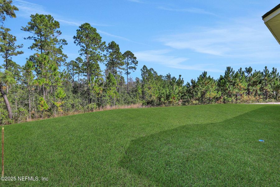 Natural landscape and outdoor views near  in Green Cove Springs (Image 48).