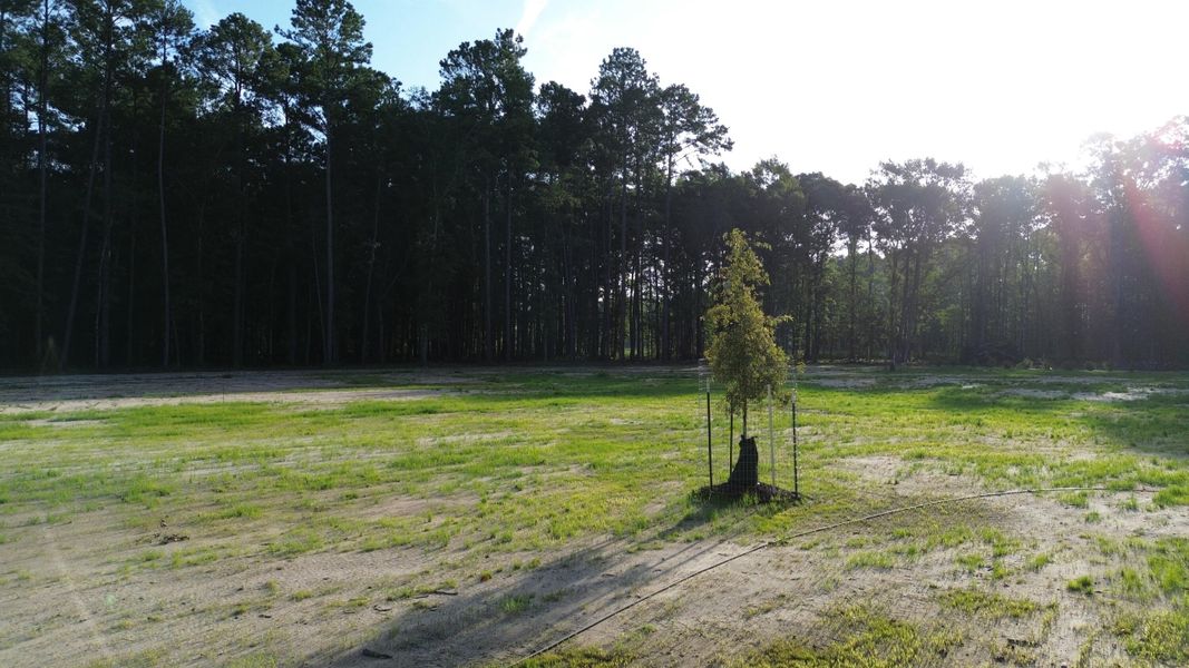 Natural landscape and outdoor views near in Ridgeville (Image 35). Natural landscape and outdoor views near in Ridgeville (Image 35).