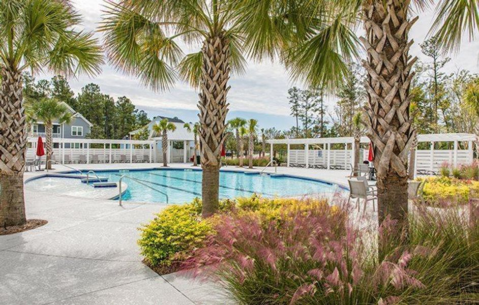 Community amenities in , Summerville (Image 28).