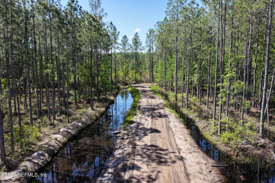 Natural landscape and outdoor views near  in Bunnell (Image 48).
