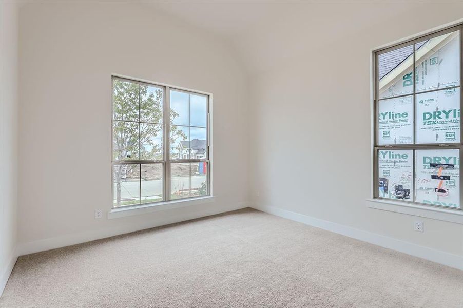 Unfurnished room featuring carpet floors and plenty of natural light