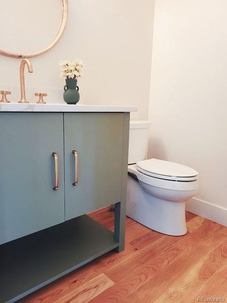 Main floor powder room with modern skirted toilet,  vanity painted in Sherwin Williams Evergreen Fog, brass faucet, quartz countertop