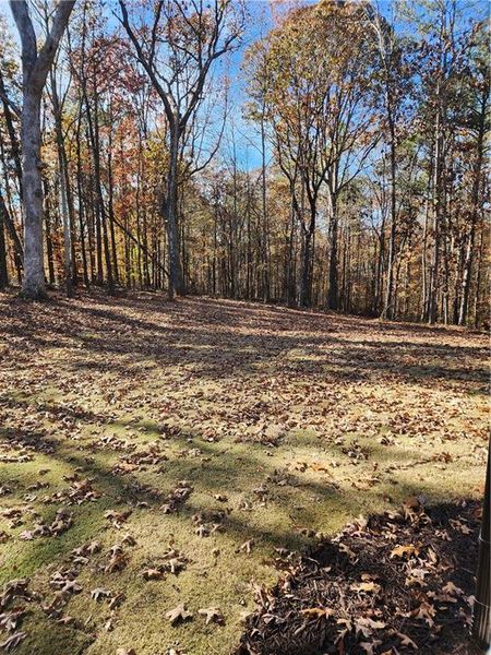 Natural landscape and outdoor views near  in Pendergrass (Image 17).