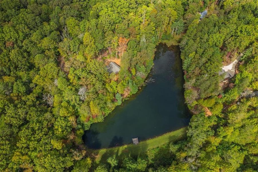 Natural landscape and outdoor views near  in Cherry Log (Image 18).