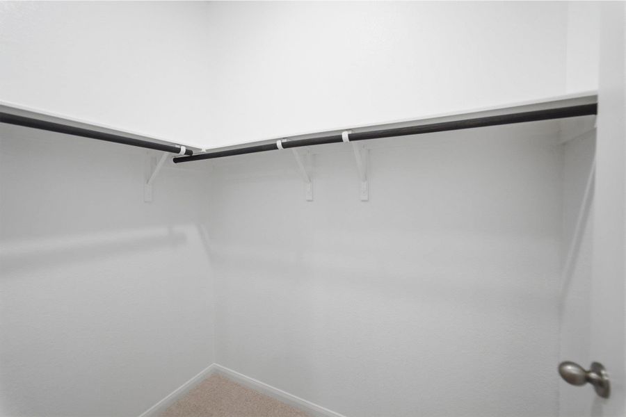 Walk in closet featuring light colored carpet
