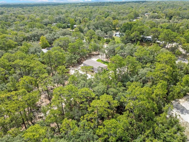 Natural landscape and outdoor views near  in Homosassa (Image 47).