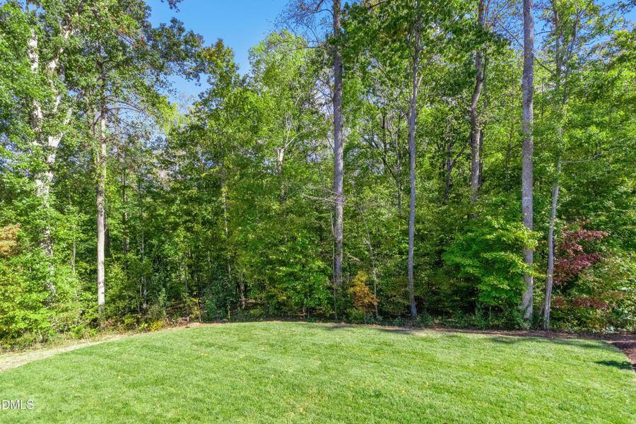 060-487784-IMG_8506 060-487784-IMG_8506