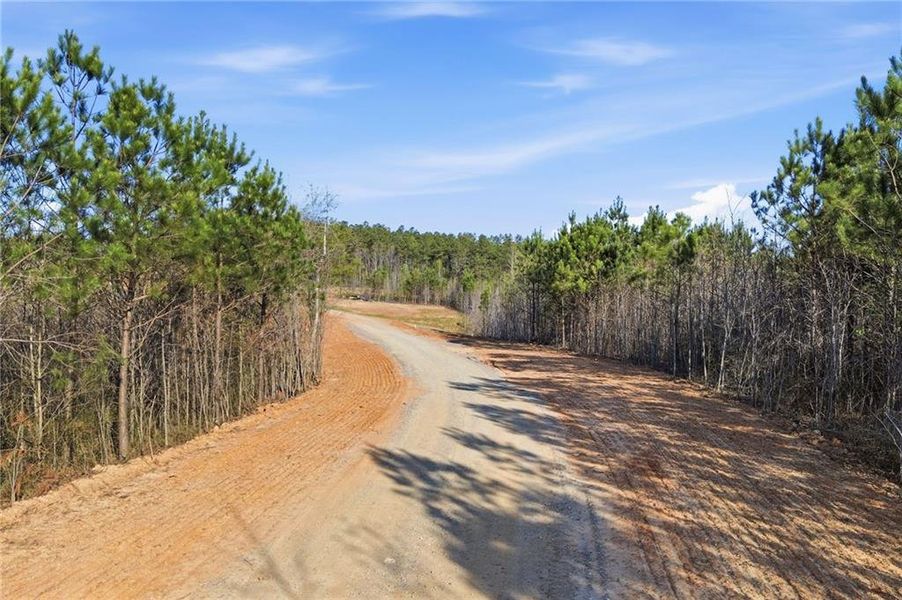 Natural landscape and outdoor views near  in Ellijay (Image 18).