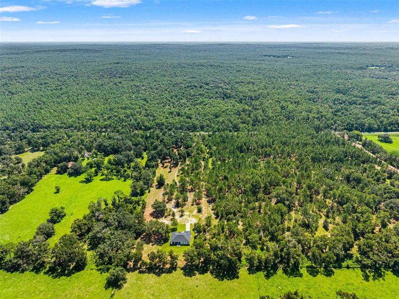 Natural landscape and outdoor views near  in Lecanto (Image 58).