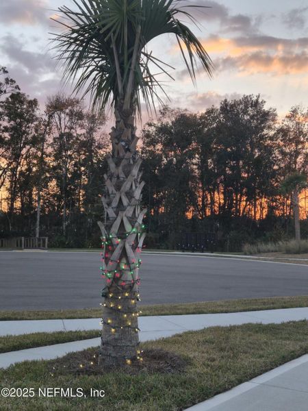 Image 34 of a home in Condo Collection at Grand Vue at Interlocken.