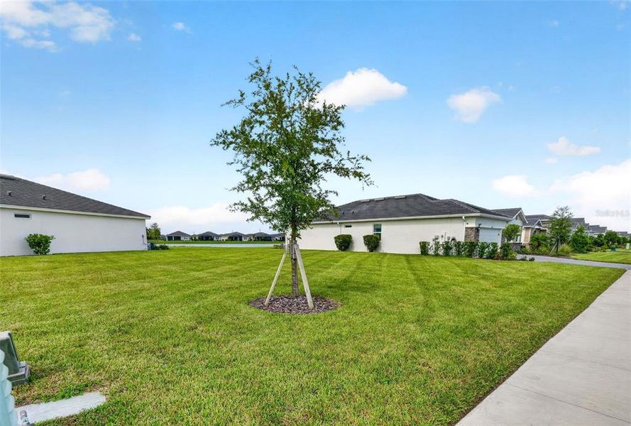 Image 77 of a home in Star Farms at Lakewood Ranch. Image 77 of a home in Star Farms at Lakewood Ranch.