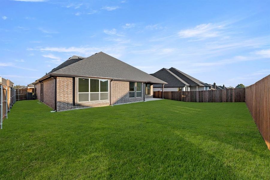 51 Magpie-Back-3 51 Magpie-Back-3