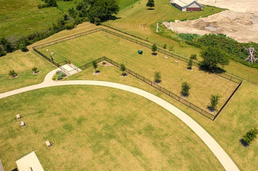 Large view of dog park