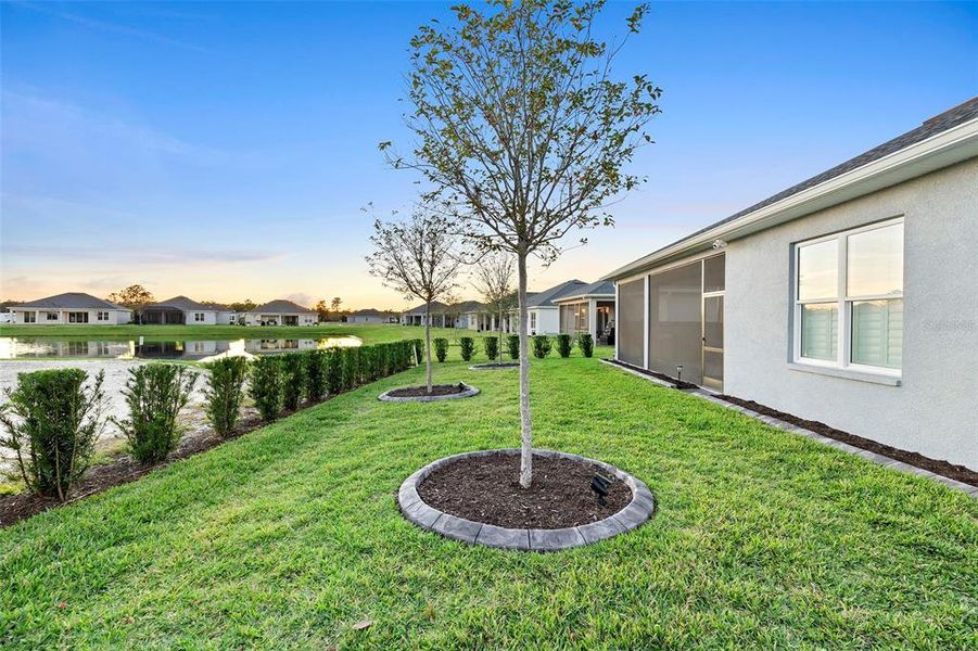 Exterior details and patio area of a home in The Reserve at Victoria, Deland (Image 23). Exterior details and patio area of a home in The Reserve at Victoria, Deland (Image 23).