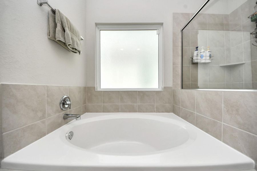 Bathtub Window