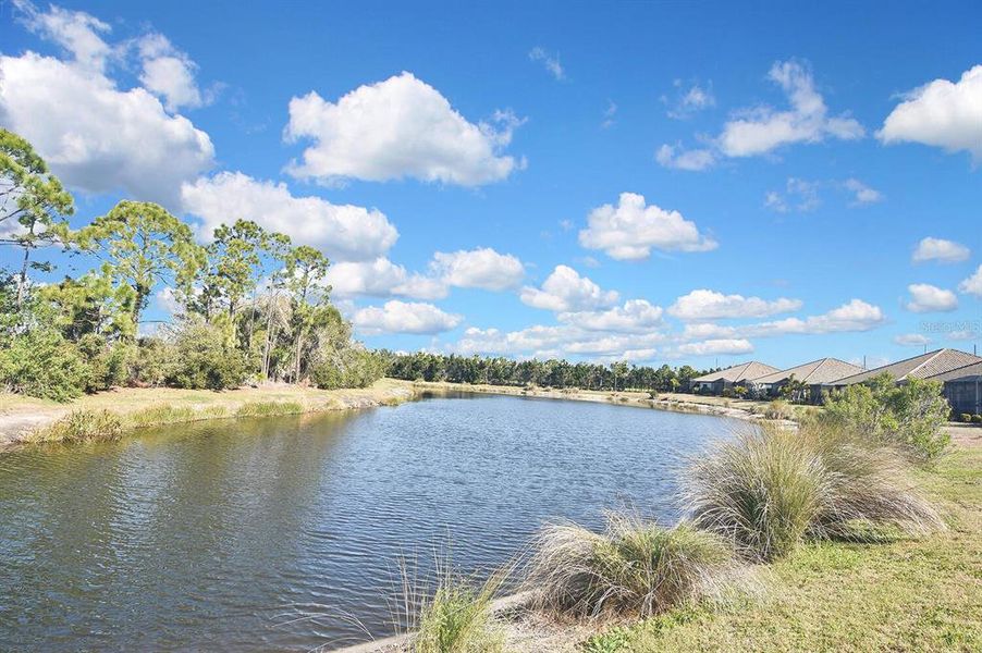 Natural landscape and outdoor views near  in Englewood (Image 61).