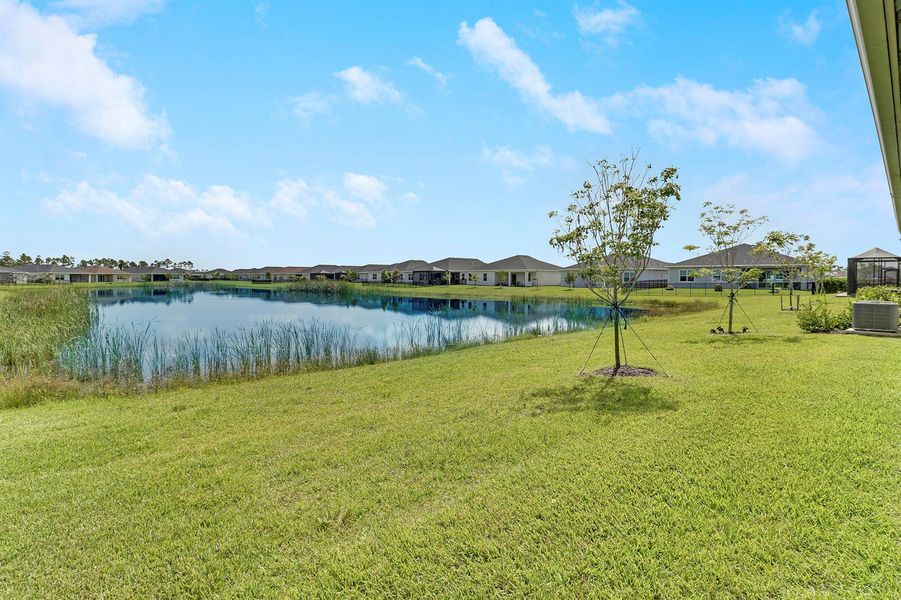 Lake Views