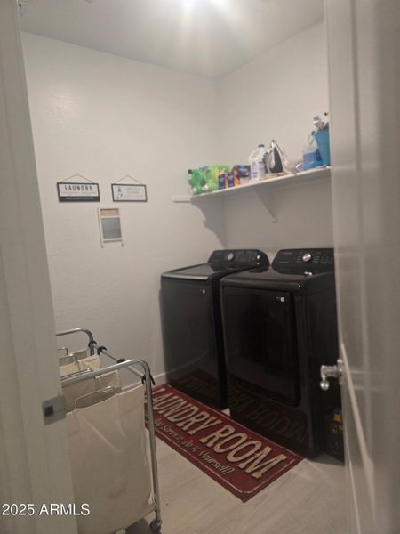 1000026033 1000026033