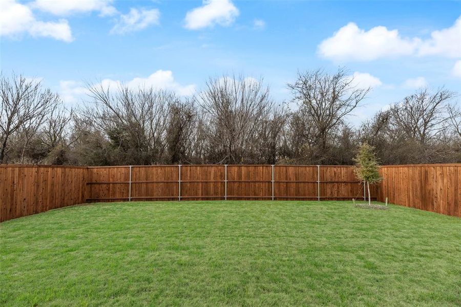 Exterior details and patio area of a home in Creekside of Crowley, Crowley (Image 20).