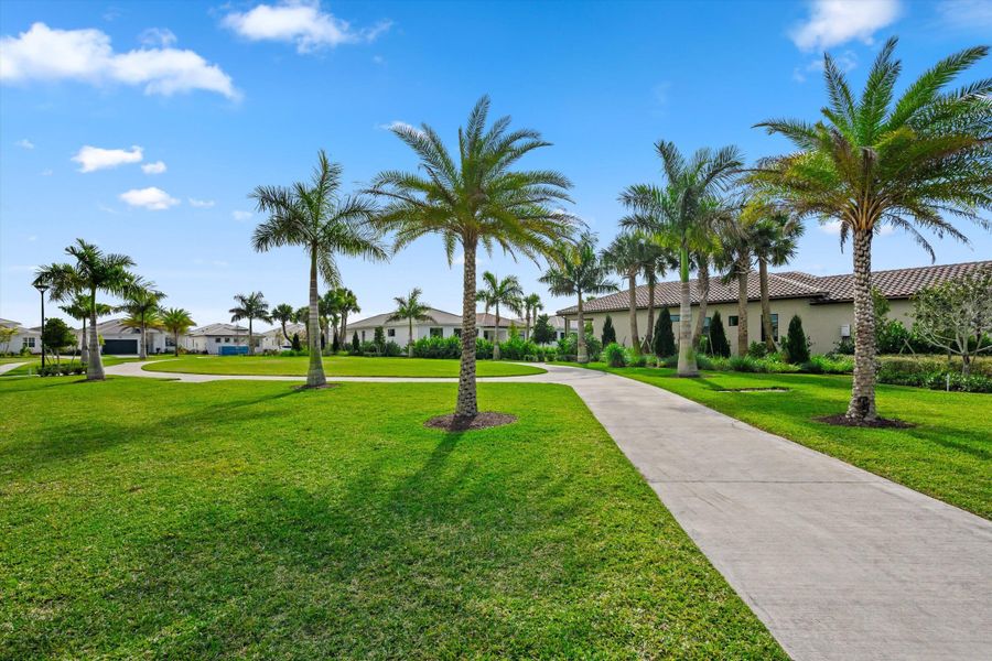 31-DSC_7742 31-DSC_7742