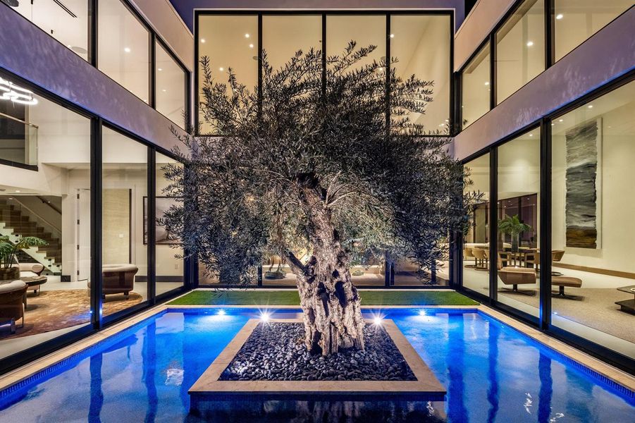 OLIVE TREE COURTYARD OLIVE TREE COURTYARD